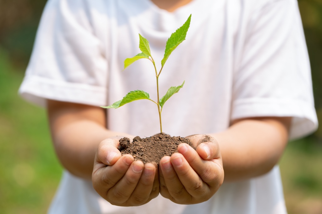 新芽と子どもたち